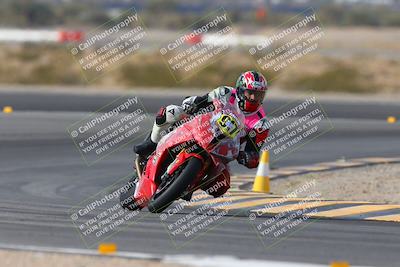 media/Jan-19-2024-Apex Assassins-CVMA Friday (Fri) [[74e94f2102]]/Trackday 1/Session 2 (Turn 11)/